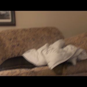 Meet your Posher, Lori